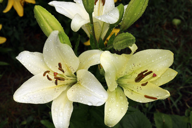 Similar image 21526613