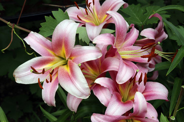 Similar image 21526615