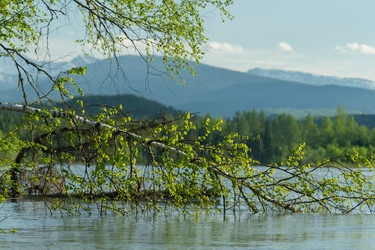 Similar image 21527135