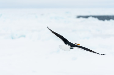 Similar image 21527145