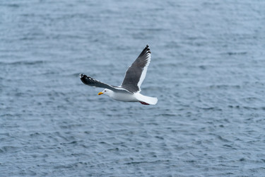 Similar image 21527147