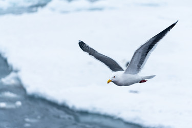 Similar image 21527149