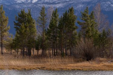 Similar image 21527152