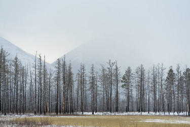 Similar image 21527158