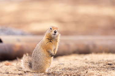 Similar image 21527161