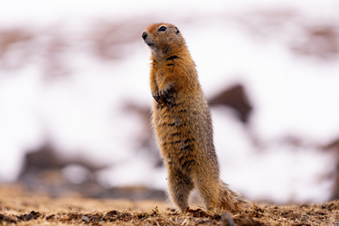 Similar image 21527162