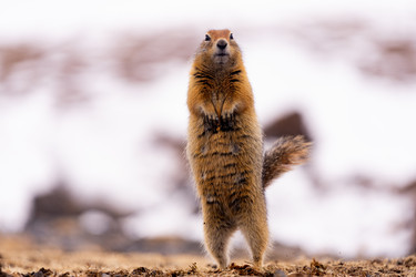 Similar image 21527163