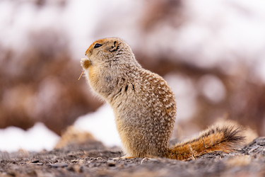 Similar image 21527165