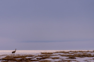 Similar image 21527167