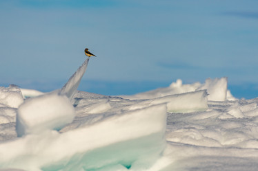 Similar image 21527169