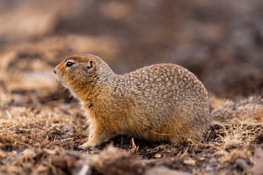 Similar image 21527171