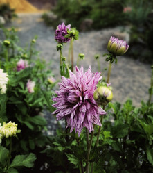 Similar image 21528260