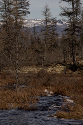 Similar image 21527175