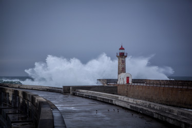 Similar image 21527182