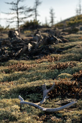 Similar image 21527185