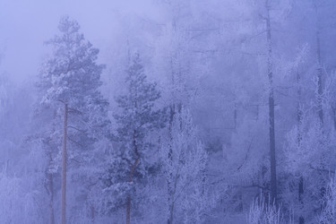 Similar image 21527189