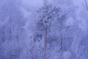 Similar image 21527193