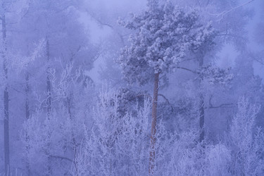 Similar image 21527194