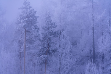 Similar image 21527196