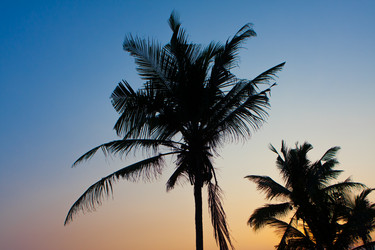 Similar image 21527205