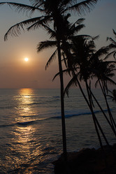 Similar image 21527207