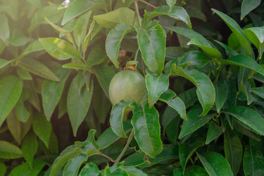 Similar image 21533388