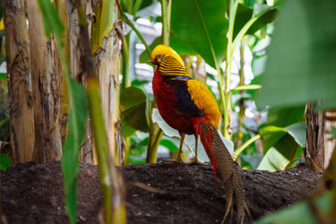 Similar image 21528263