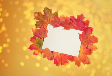 Similar image 21526774