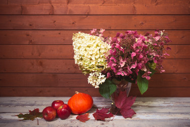 Similar image 21528473