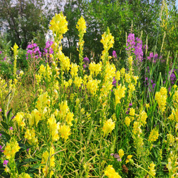 Similar image 21526931