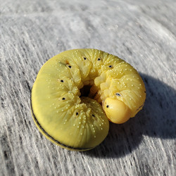 Similar image 21528270