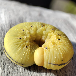 Similar image 21526933