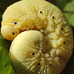 Similar image 21526936