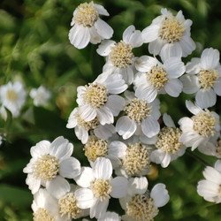 Similar image 21526940