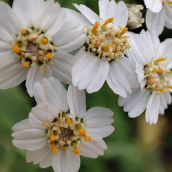 Similar image 21526942