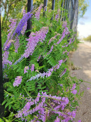 Similar image 21526947