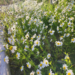 Similar image 21526949