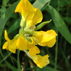 Similar image 21526950