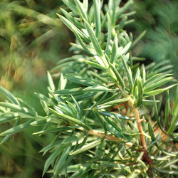 Similar image 21526952