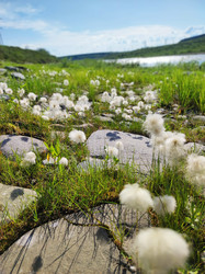 Similar image 21526962