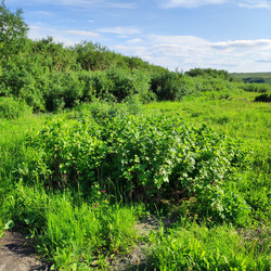 Similar image 21526964