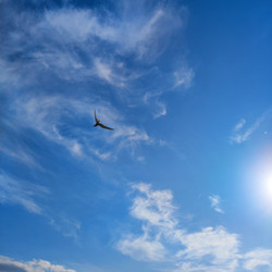 Similar image 21526965