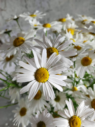 Similar image 21526968