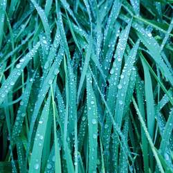 Similar image 21526969