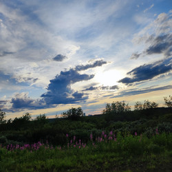 Similar image 21526971