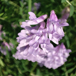 Similar image 21526972