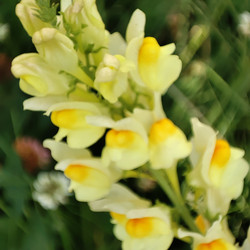 Similar image 21526973