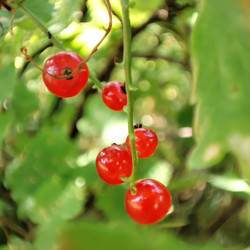 Similar image 21526974