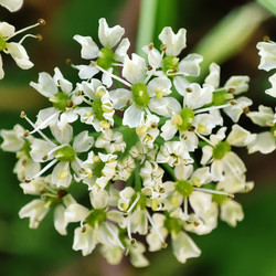 Similar image 21526975