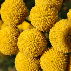 Similar image 21526976